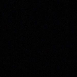 Meet your Posher, Lee